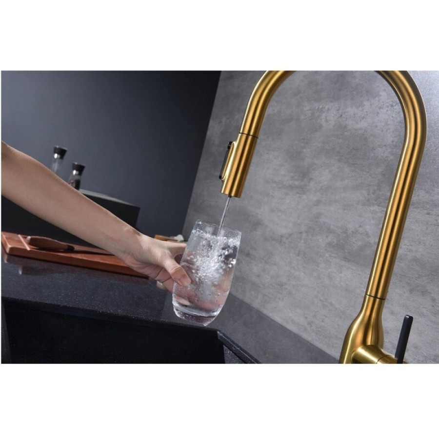 Смеситель для кухонной мойки Paulmark Universal Un213880-BG, с подключением к фильтру, золото брашированное