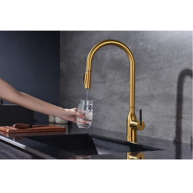 Смеситель для кухонной мойки Paulmark Universal Un213880-BG, с подключением к фильтру, золото брашированное