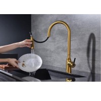 Смеситель для кухонной мойки Paulmark Universal Un213880-BG, с подключением к фильтру, золото брашированное