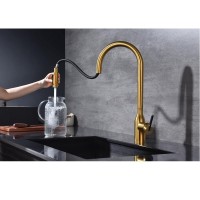 Смеситель для кухонной мойки Paulmark Universal Un213880-BG, с подключением к фильтру, золото брашированное