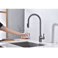 Смеситель для кухонной мойки Paulmark Universal Un213880-GM, с подключением к фильтру, вороненая сталь