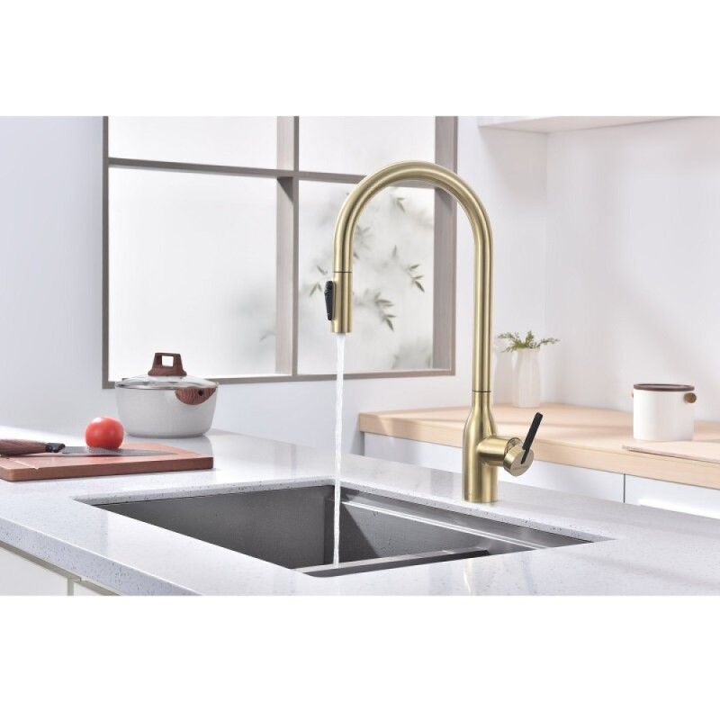 Смеситель для кухонной мойки Paulmark Universal Un213880-LG, с подключением к фильтру, золото светлое