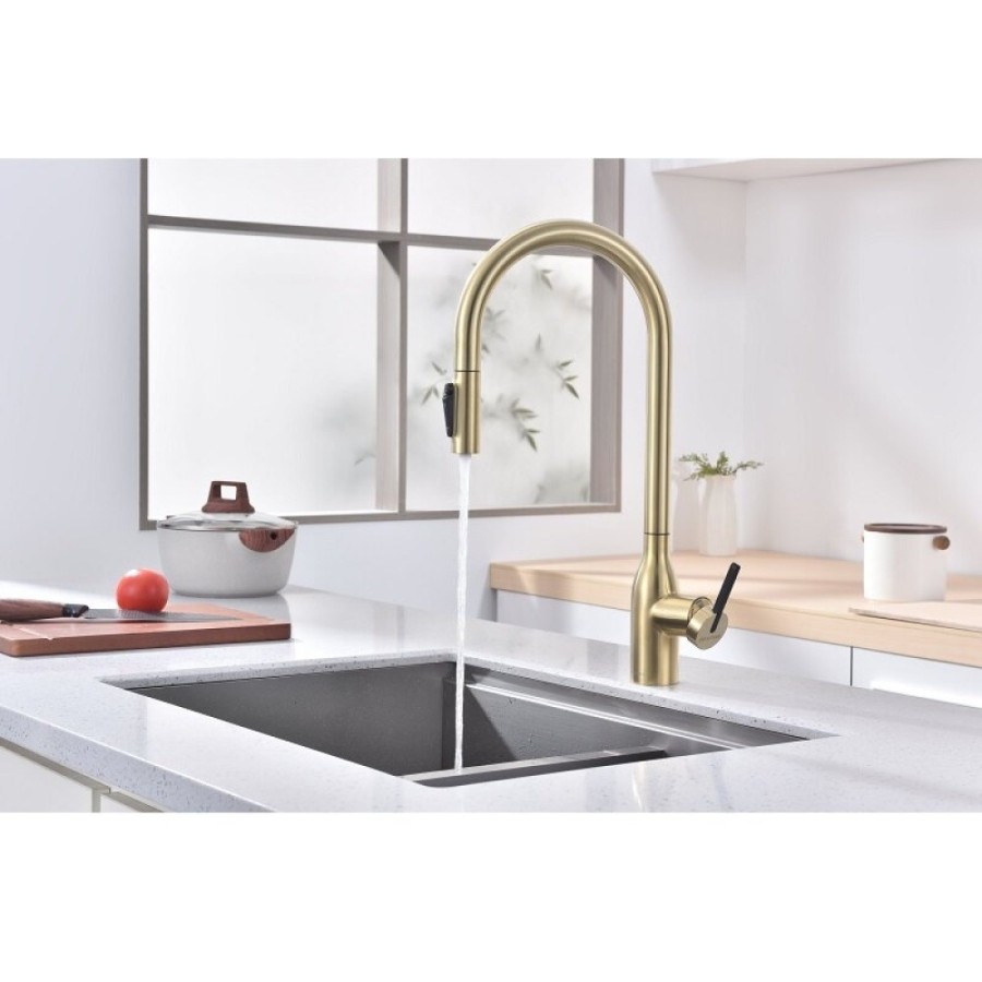 Смеситель для кухонной мойки Paulmark Universal Un213880-LG, с подключением к фильтру, золото светлое