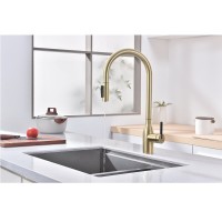 Смеситель для кухонной мойки Paulmark Universal Un213880-LG, с подключением к фильтру, золото светлое