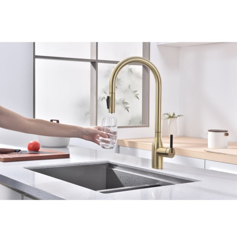 Смеситель для кухонной мойки Paulmark Universal Un213880-LG, с подключением к фильтру, золото светлое
