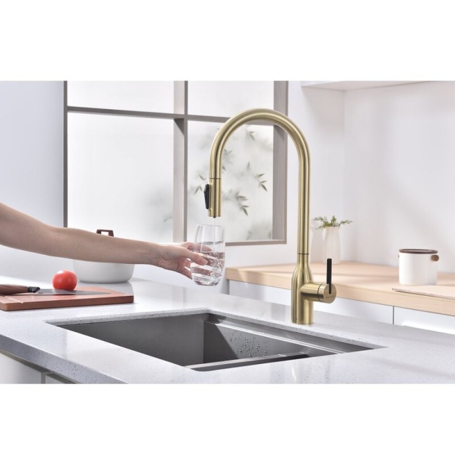 Смеситель для кухонной мойки Paulmark Universal Un213880-LG, с подключением к фильтру, золото светлое