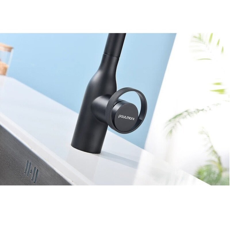 Смеситель Paulmark Urban Ur213104-AN для кухонной мойки, с подключением к фильтру, антрацит