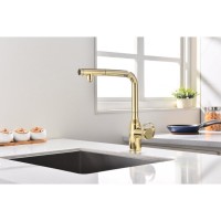Смеситель Paulmark Urban Ur213104-G для кухонной мойки, с подключением к фильтру, цвет золото