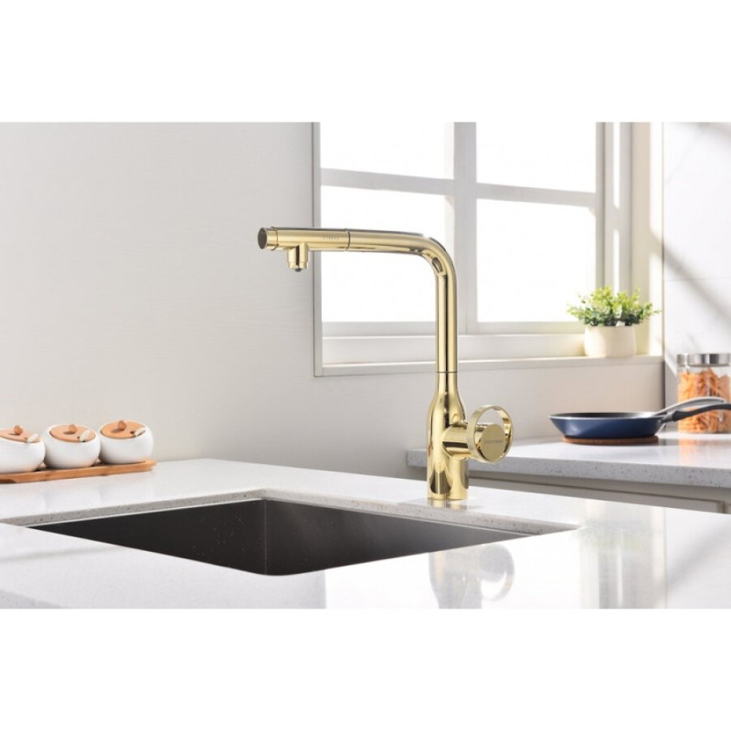 Смеситель Paulmark Urban Ur213104-G для кухонной мойки, с подключением к фильтру, цвет золото