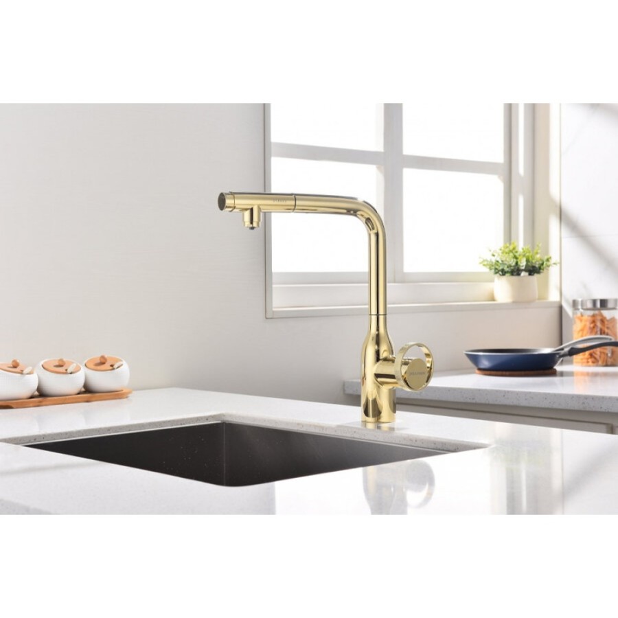 Смеситель Paulmark Urban Ur213104-G для кухонной мойки, с подключением к фильтру, цвет золото