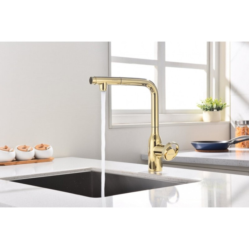 Смеситель Paulmark Urban Ur213104-G для кухонной мойки, с подключением к фильтру, цвет золото