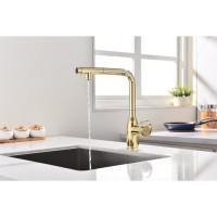 Смеситель Paulmark Urban Ur213104-G для кухонной мойки, с подключением к фильтру, цвет золото