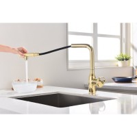 Смеситель Paulmark Urban Ur213104-G для кухонной мойки, с подключением к фильтру, цвет золото