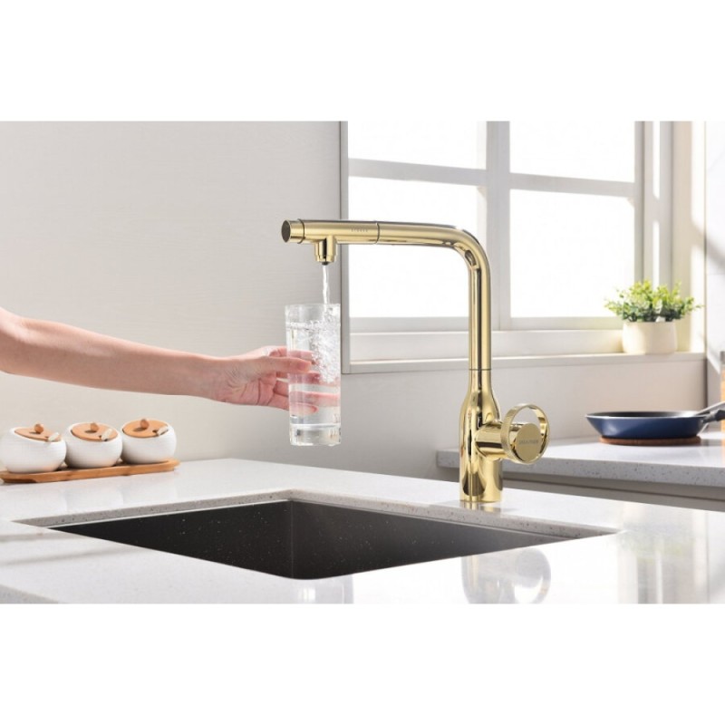 Смеситель Paulmark Urban Ur213104-G для кухонной мойки, с подключением к фильтру, цвет золото