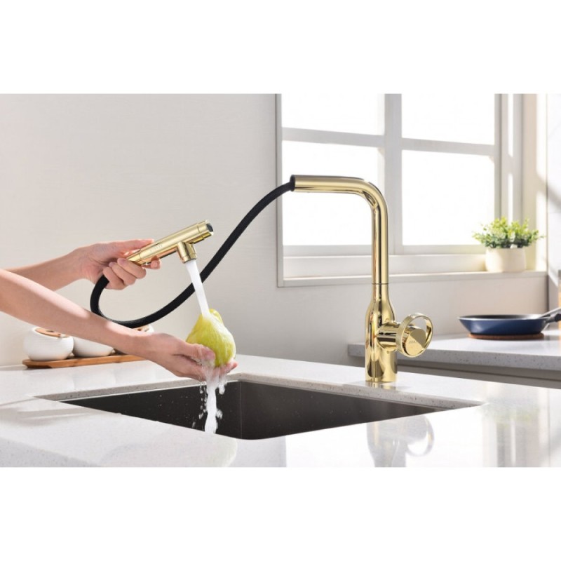 Смеситель Paulmark Urban Ur213104-G для кухонной мойки, с подключением к фильтру, цвет золото