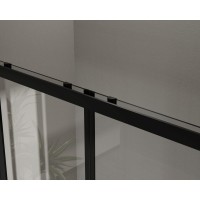 Душевая дверь Сити (City) VDS-5CT2170CLB, 1700, черный, стекло прозрачное