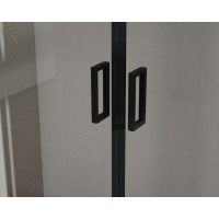 Душевая дверь Сити (City) VDS-5CT2170CLB, 1700, черный, стекло прозрачное