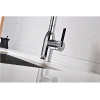 Смеситель Paulmark Viper Vi213105-CR для кухонной мойки, с подключением к фильтру, цвет хром