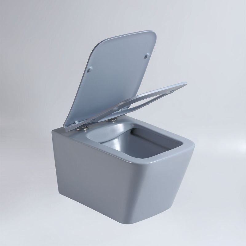 Унитаз Vincea Q-Line VT1-12MO подвесной Океан матовый с сиденьем Микролифт