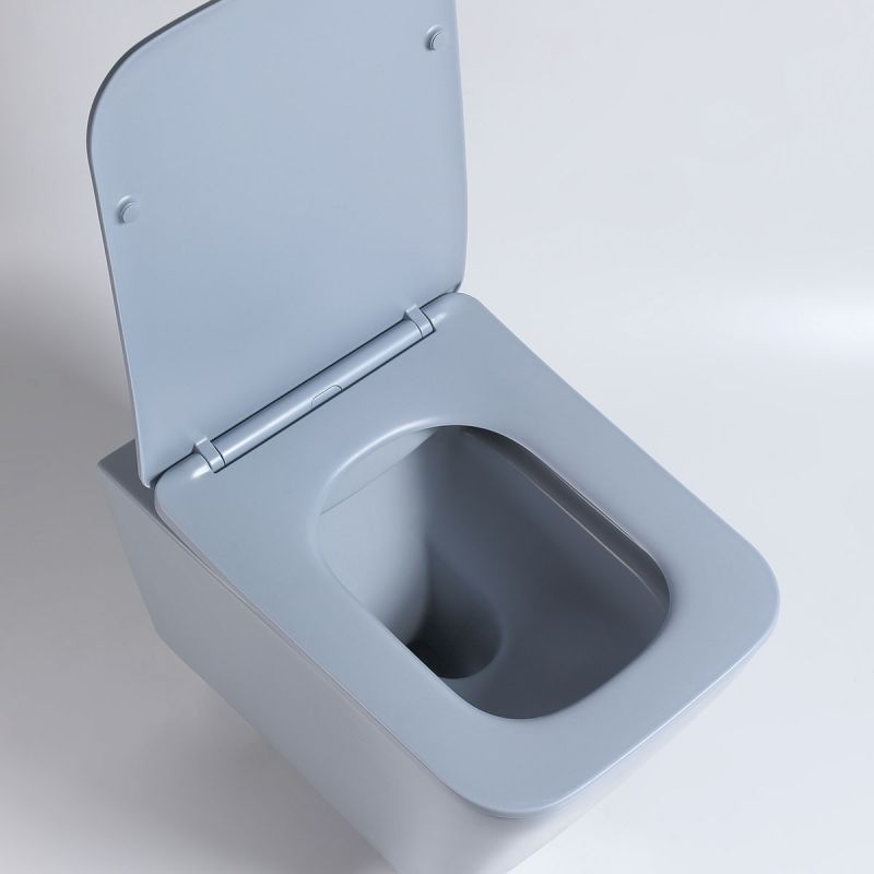 Унитаз Vincea Q-Line VT1-12MO подвесной Океан матовый с сиденьем Микролифт