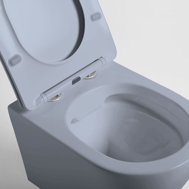 Унитаз Vincea Globo VT1-14SMO подвесной Океан матовый с сиденьем Микролифт