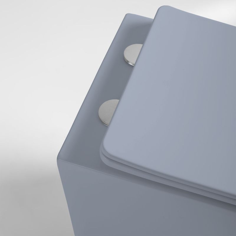 Унитаз Vincea Globo VT1-14SMO подвесной Океан матовый с сиденьем Микролифт