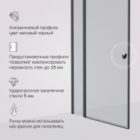 Душевая дверь в нишу Am.Pm Sunny W87G-100-1P-BT, 100 см, стекло прозрачное, профиль черный матовый матовый
