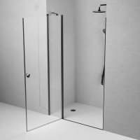 Душевая дверь в нишу Am.Pm Sunny W87G-120-1P-BT, 120 см, стекло прозрачное, профиль черный матовый