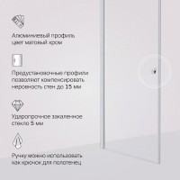 Душевая дверь в нишу Am.Pm Sunny W87G-80-1P-MT, 80 см, стекло прозрачное, профиль хром матовый
