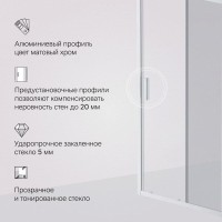 Душевая дверь в нишу Am.Pm Gem Solo 100 х 195 см, раздвижная, стёкла прозрачное и тонированное, профиль хром матовый, W90G-100-1-195MG