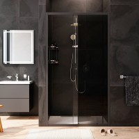 Душевая дверь в нишу Am.Pm Gem Solo 110 х 195 см, раздвижная, стёкла прозрачное и тонированное, профиль черный матовый, W90G-110-1-195BG