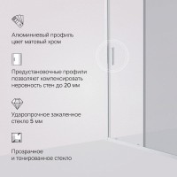 Душевая дверь в нишу Am.Pm Gem Solo 110 х 195 см, раздвижная, стёкла прозрачное и тонированное, профиль хром матовый, W90G-110-1-195MG