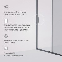 Душевая дверь в нишу Am.Pm Gem Solo 120 х 195 см, раздвижная, стёкла прозрачное и тонированное, профиль черный матовый, W90G-120-1-195BG