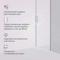 Душевая дверь в нишу Am.Pm Gem Solo 120 х 195 см, раздвижная, стёкла прозрачное и тонированное, профиль хром матовый, W90G-120-1-195MG