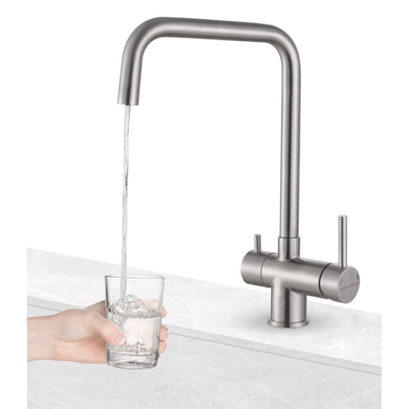 Смеситель Paulmark Wetter We213030-BS для кухонной мойки, с подключением к фильтру, брашированная сталь